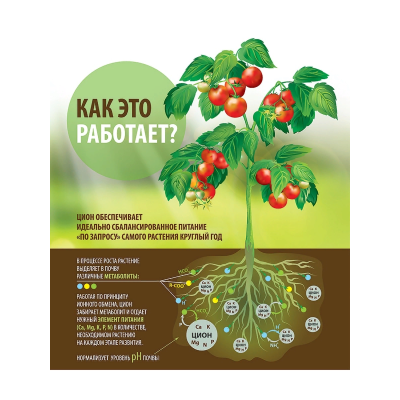 ЦИОН Классик (полимерный контейнер) 800г ЦИОН Классик (полимерный контейнер) 800г